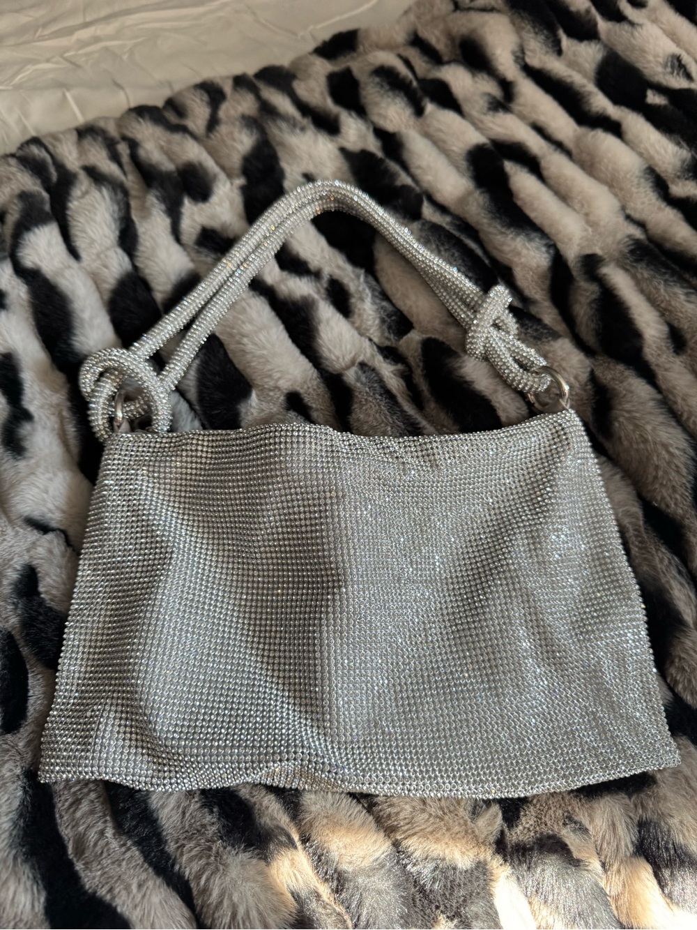 Silver Evening Shoulder Bag
